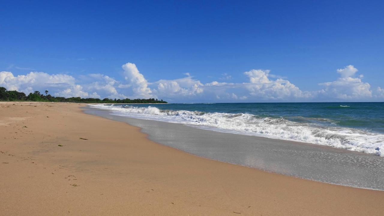 Regina Beach Bungalow 亭可马里 外观 照片