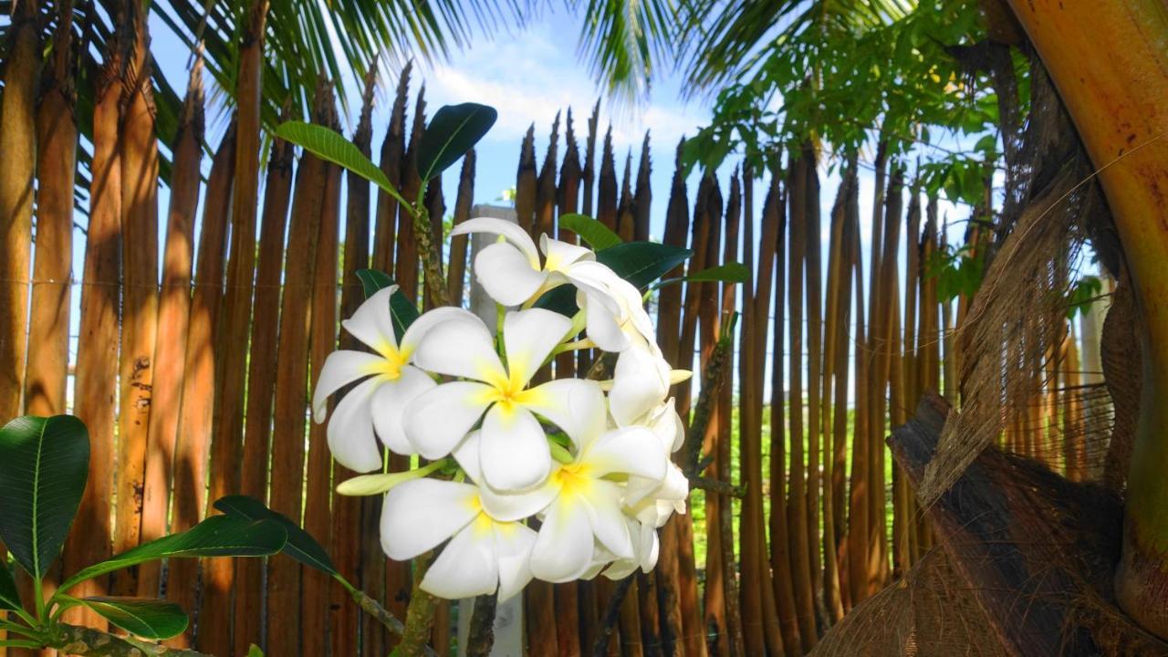 Regina Beach Bungalow 亭可马里 外观 照片