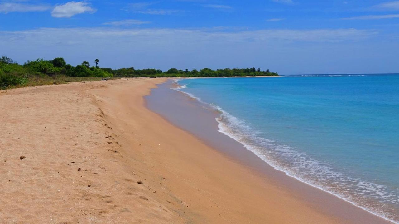 Regina Beach Bungalow 亭可马里 外观 照片