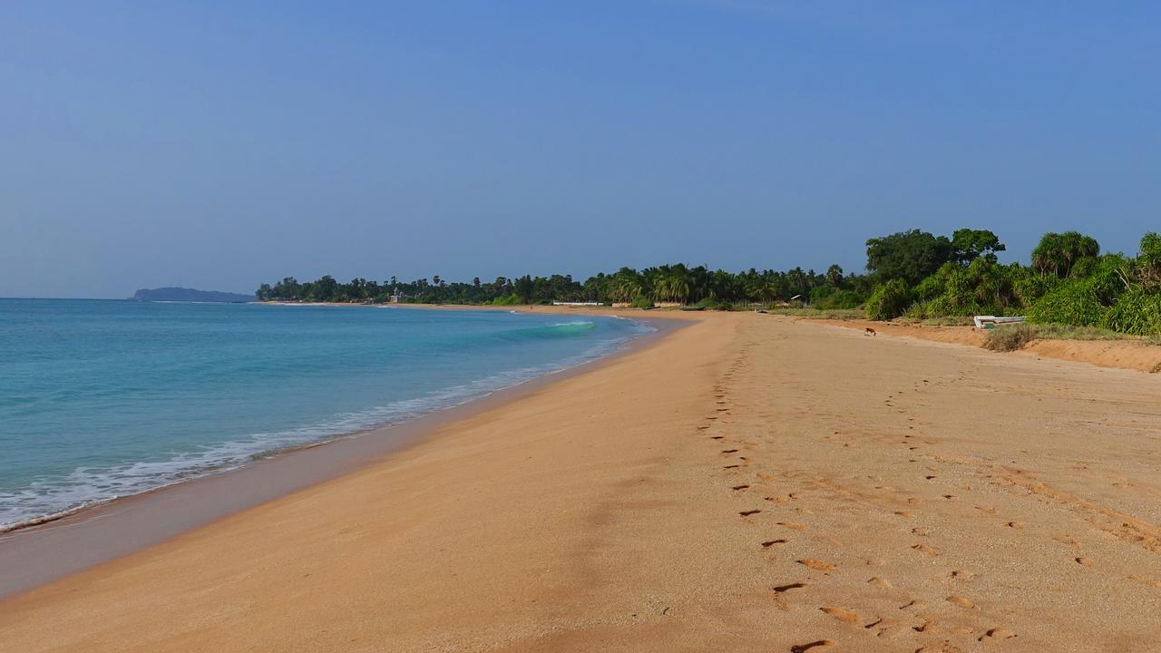 Regina Beach Bungalow 亭可马里 外观 照片